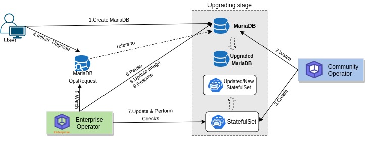updating Process of MariaDB